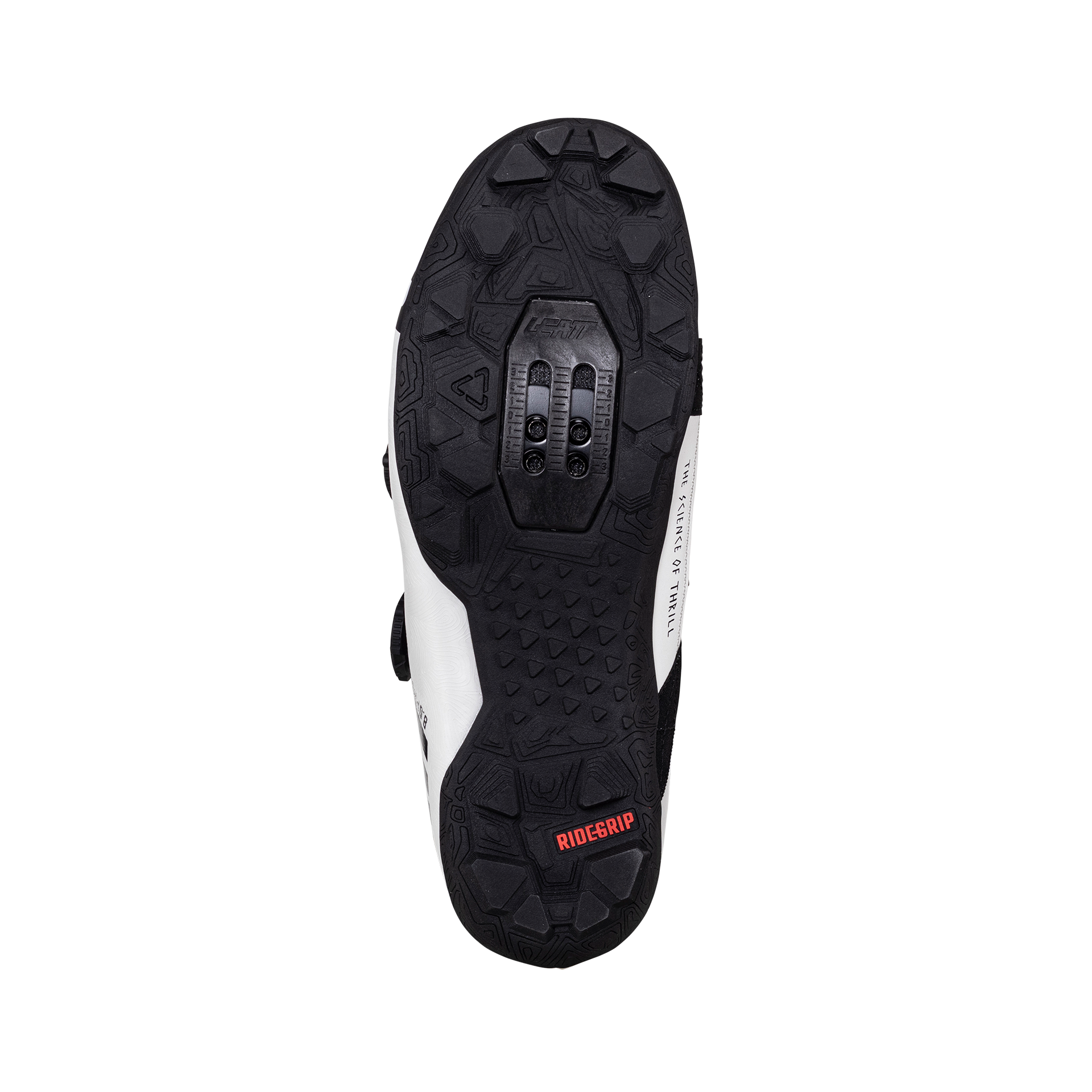 Shoes ProClip 8.0 Race - Women