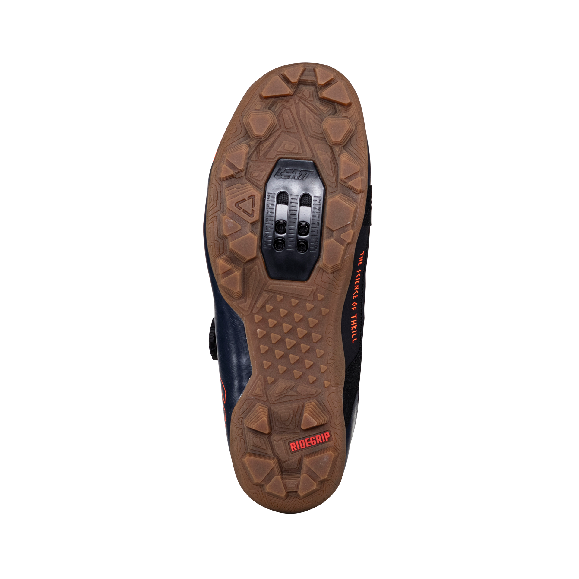 Shoes ProClip 8.0 Endurance - Women