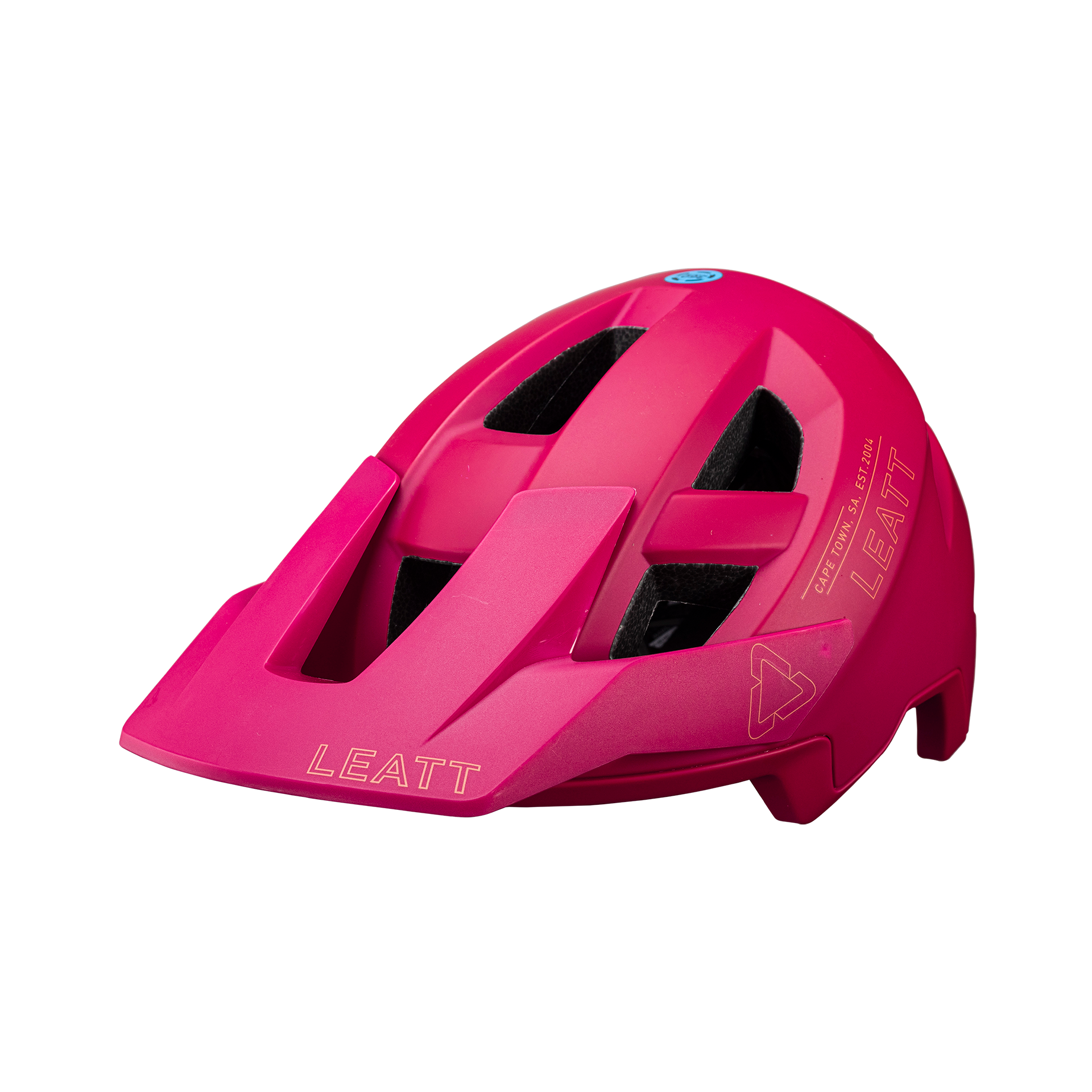 Helmet MTB AllMtn 2.0