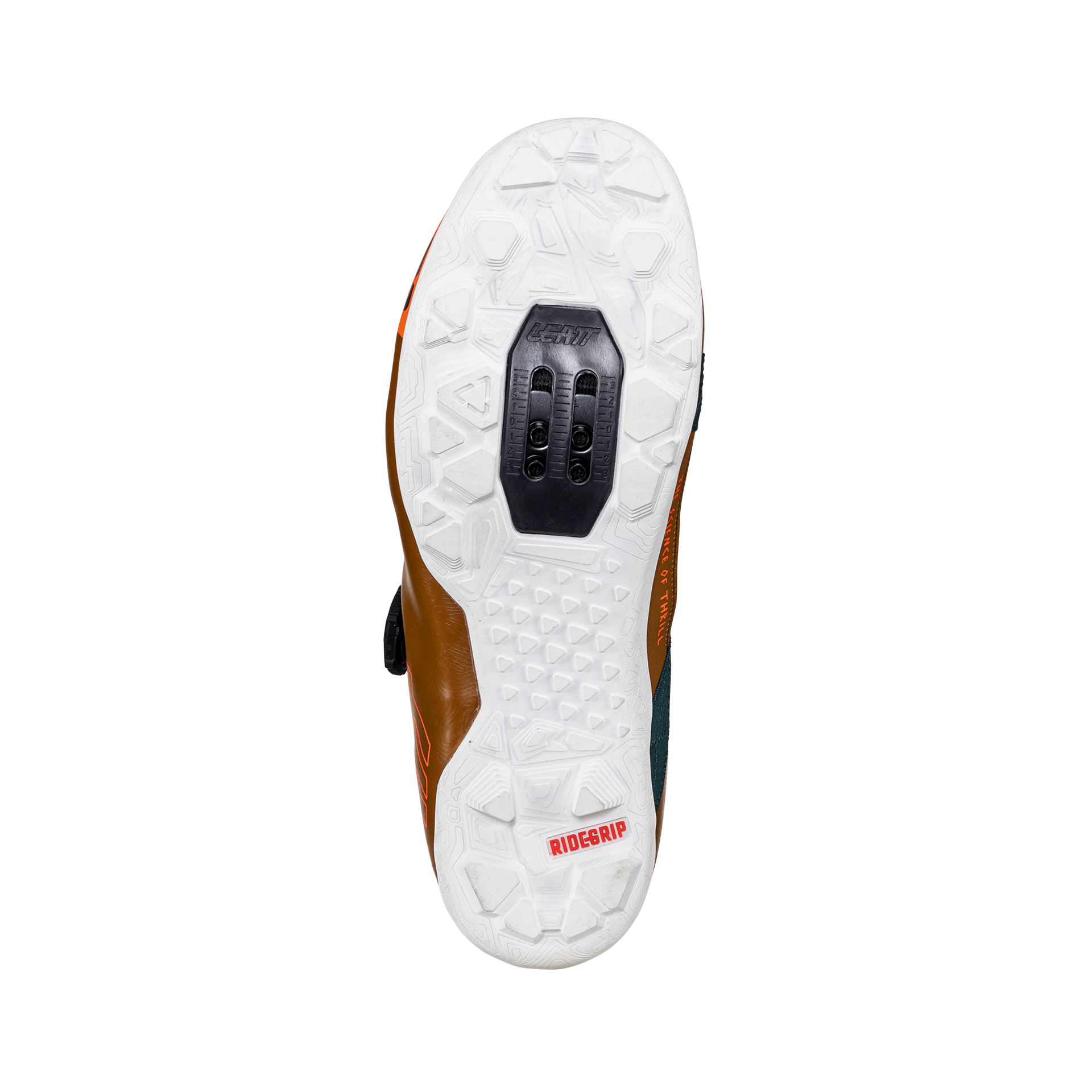 Shoes ProClip 8.0 Endurance